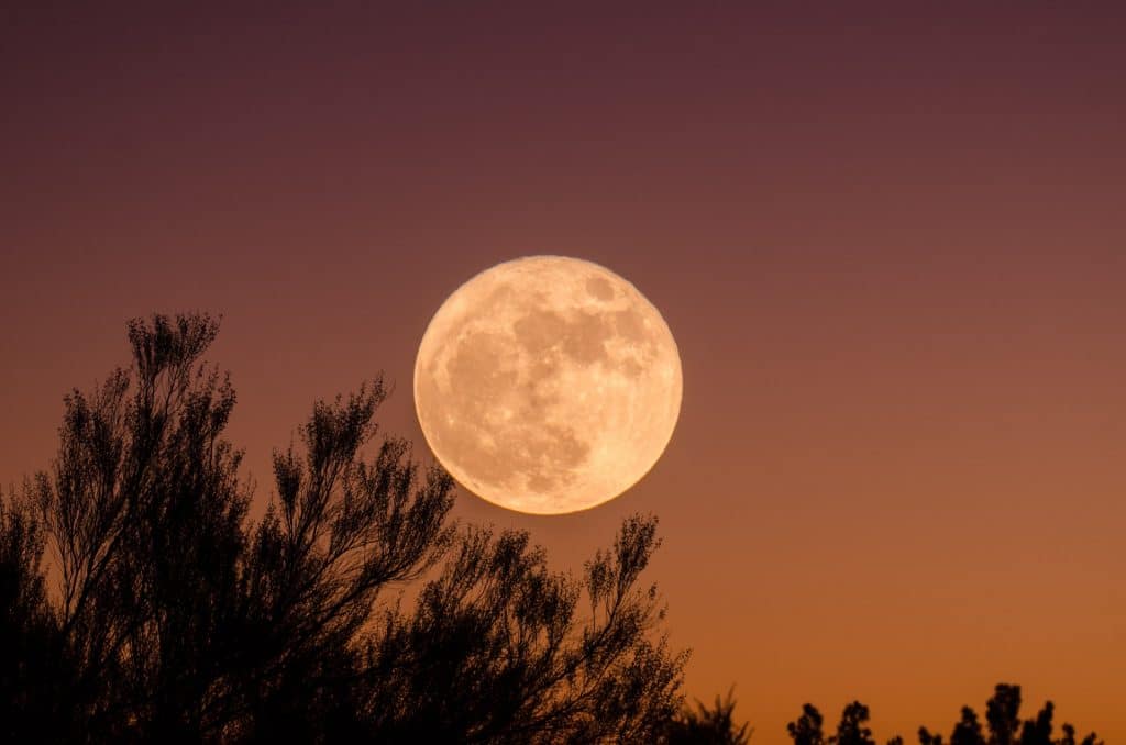 The Sturgeon Moon, Perseid Meteor Shower And Saturn Could All Be Visible This Friday