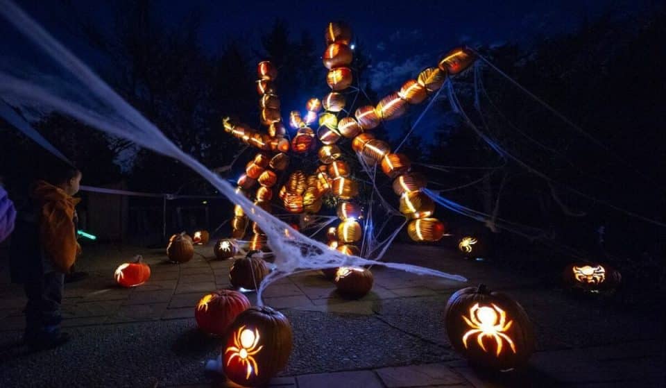 6 Cozy and Spooky Autumn Events Coming To Denver Botanic Gardens This Year