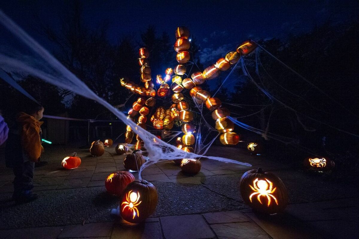 6 Cozy and Spooky Autumn Events Coming To Denver Botanic Gardens This Year