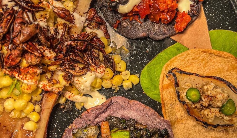 You Can Eat Cricket Tacos And Scorpion Tamales at La Diabla Pozole Y Mezcal